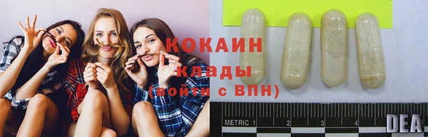 spice Бородино