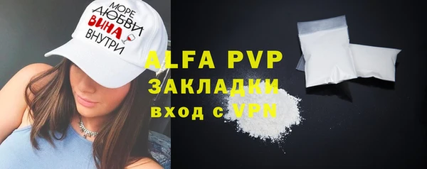 spice Бородино