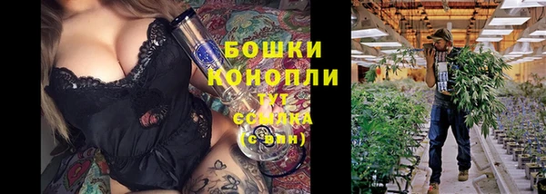 винт Бронницы