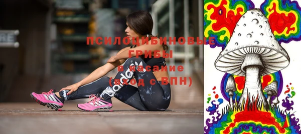 винт Бронницы
